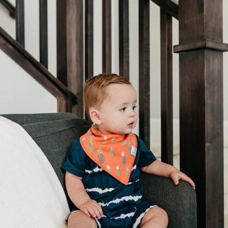 Bandana Drool Bibs - 4 Pack Maui
