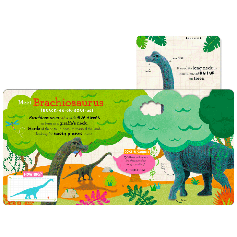 Let's Explore Dinos Board Book