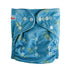 Print Cloth Diapers