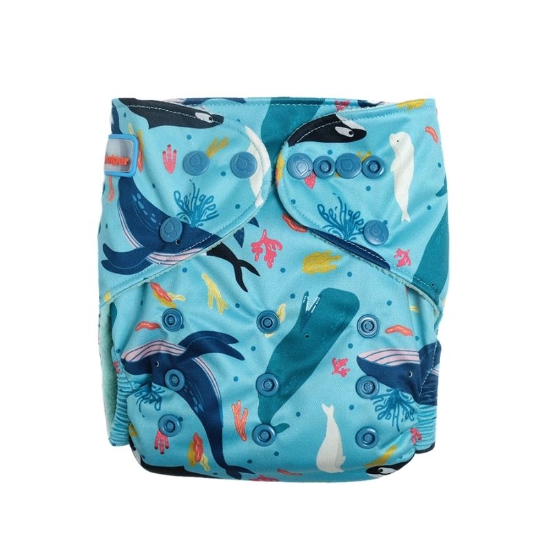 Print Cloth Diapers