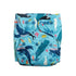 Print Cloth Diapers